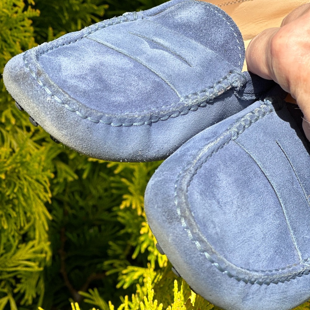 Tod's Blue Suede Gommino driving Loafers - Picture 8 of 14